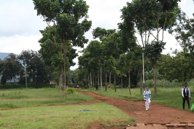 A red dirt path winds across a green field shaded by tall trees at the school grounds hosting the Gift of Health clinic in Tanzania.